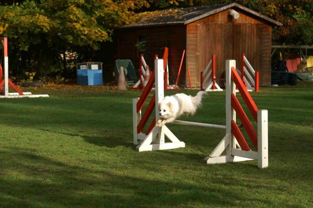 agility 2011-10-30